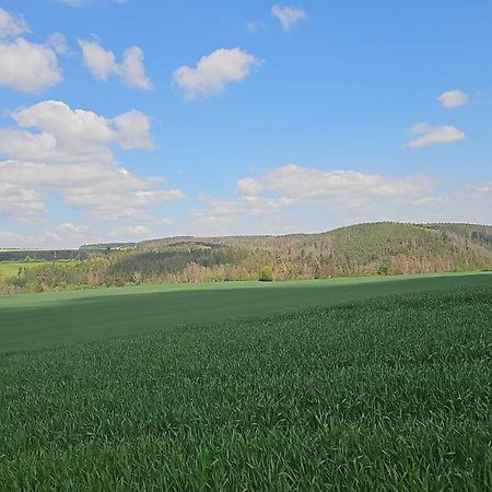 Ferienhaus-Wurzbach ภายนอก รูปภาพ