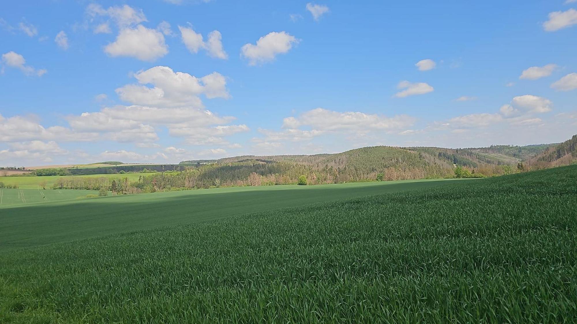 Ferienhaus-Wurzbach ภายนอก รูปภาพ
