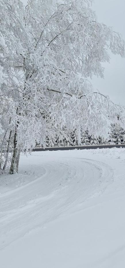 Ferienhaus-Wurzbach ภายนอก รูปภาพ